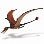 Rhamphorhynchus