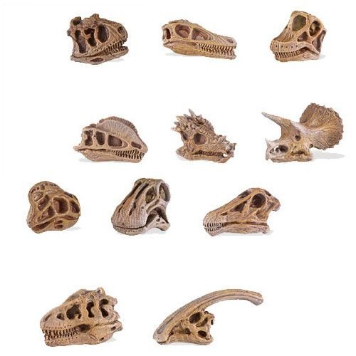 dinosaur skulls toob