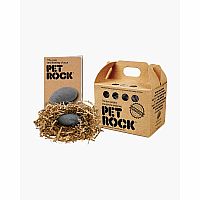 Pet Rock 