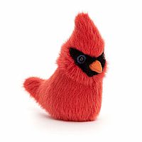 Cardinal Birding 