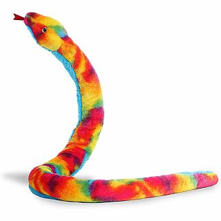 Rainbow Snake