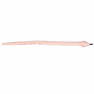51" Colorful Bubblegum Snake