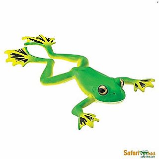 Flying Tree Frog