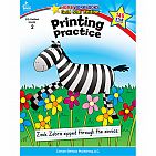 Printing Practice Workbook Grade 2 Paperback
