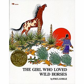 Girl Who Loved Wild Horses paperback