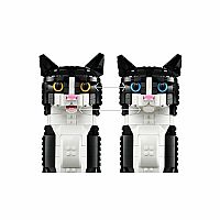 Tuxedo Cat