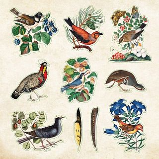 Zoological Ephemera Sticker Book (over 680 stickers!)