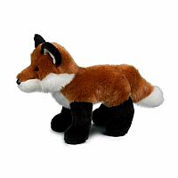 Bushy Red Fox