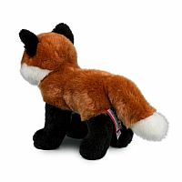 Bushy Red Fox