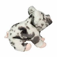 Zoinkie Soft Spotted Pig