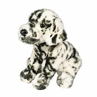 Mackay Dalmatian