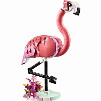 Wild Animals: Pink Flamingo