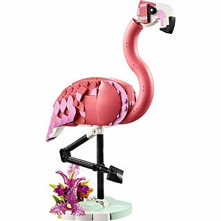 Wild Animals: Pink Flamingo