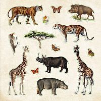 Zoological Ephemera Sticker Book (over 680 stickers!)