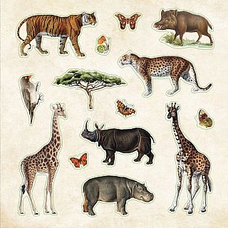 Zoological Ephemera Sticker Book (over 680 stickers!)
