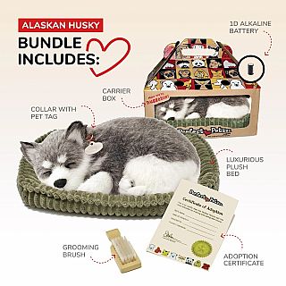 Alaskan Husky