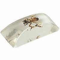 Fake Ice Cube with Bug