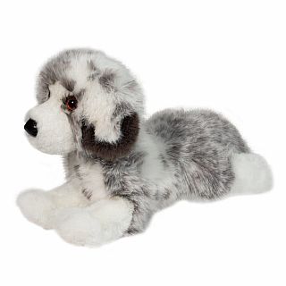 Skylar Australian Shepherd