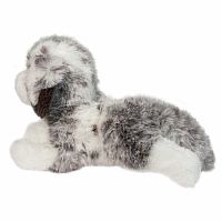 Skylar Australian Shepherd
