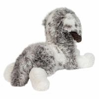 Skylar Australian Shepherd