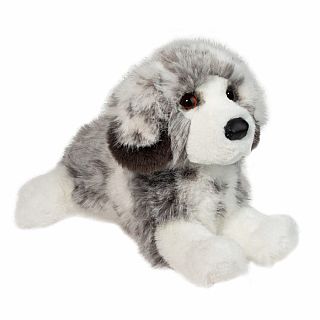 Skylar Australian Shepherd