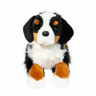 Trooper DLux Bernese Mountain Dog