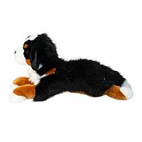 Trooper DLux Bernese Mountain Dog