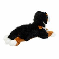 Trooper DLux Bernese Mountain Dog