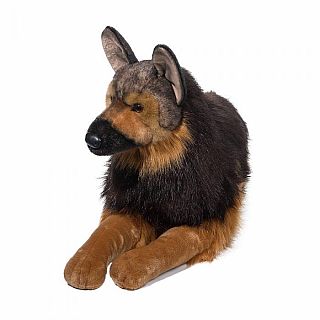 Major German Shepherd