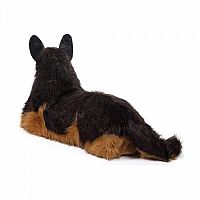Major German Shepherd