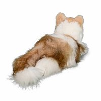 Kiki Ragdoll Cat 