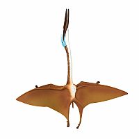 Quetzalcoatlus