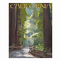 Pathway In The Forest California 1000 Piece Puzzle 