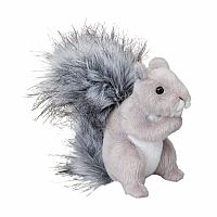Gray Squirrel Shasta 