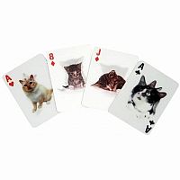 PLAYING CARDS CATS 3D