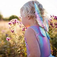 Rainbow Sequin Skirt, Wings, & Wand