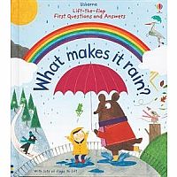 1st Lift the Flap Q&A What Makes A Rainbow board book