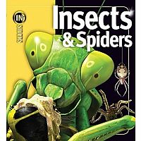 Insect and Spiders Insiders hardback