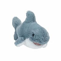 Torpedo Shark 