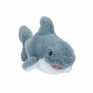 Torpedo Shark 