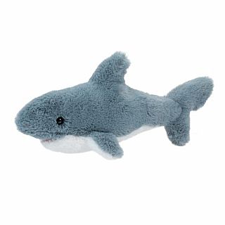 Torpedo Shark 