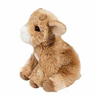 Mini Dandie Soft Goat