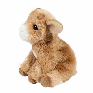 Mini Dandie Soft Goat
