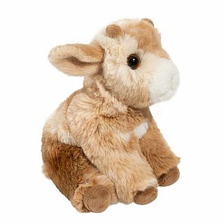 Mini Dandie Soft Goat