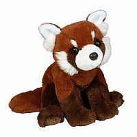 Kyrie Red Panda Soft