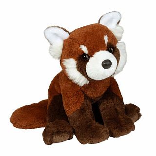 Kyrie Red Panda Soft 