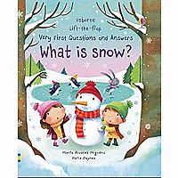 Lift The Flap First Q&A What Is Snow? board book