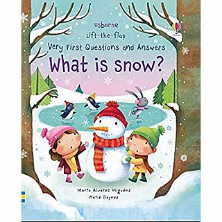 Lift The Flap First Q&A What Is Snow? board book