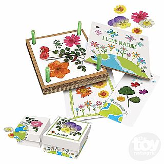 Pressed Flower Art