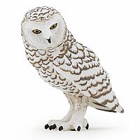 Snowy Owl